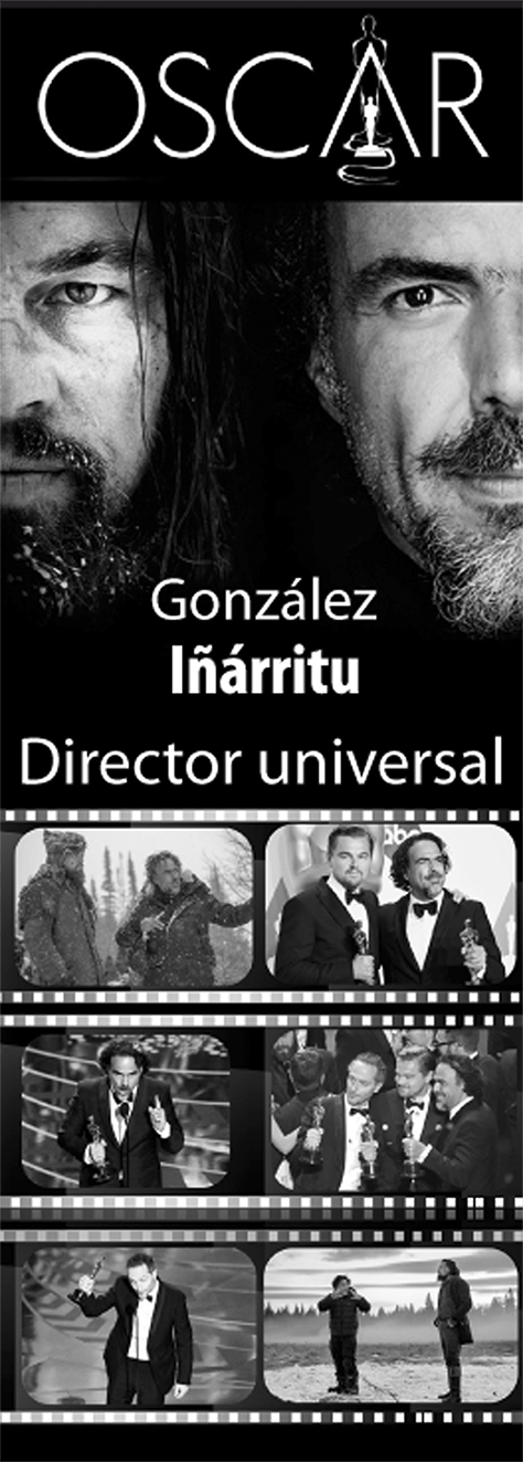Director universal PARA BLOG 15